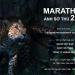 Cuộc thi Marathon ảnh sở thú 2021